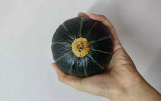 网红吃的软趴瓜是什么,软趴瓜的独特魅力与制作方法  第3张